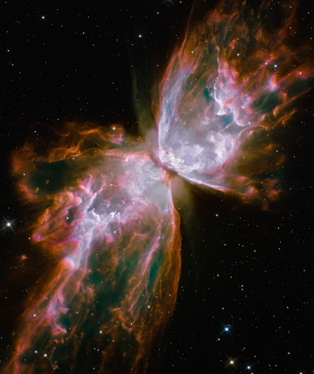 Featured image of post 1080P Butterfly Nebula