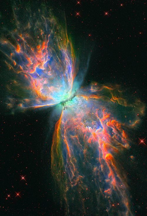 wallpapers 1080P Butterfly Nebula