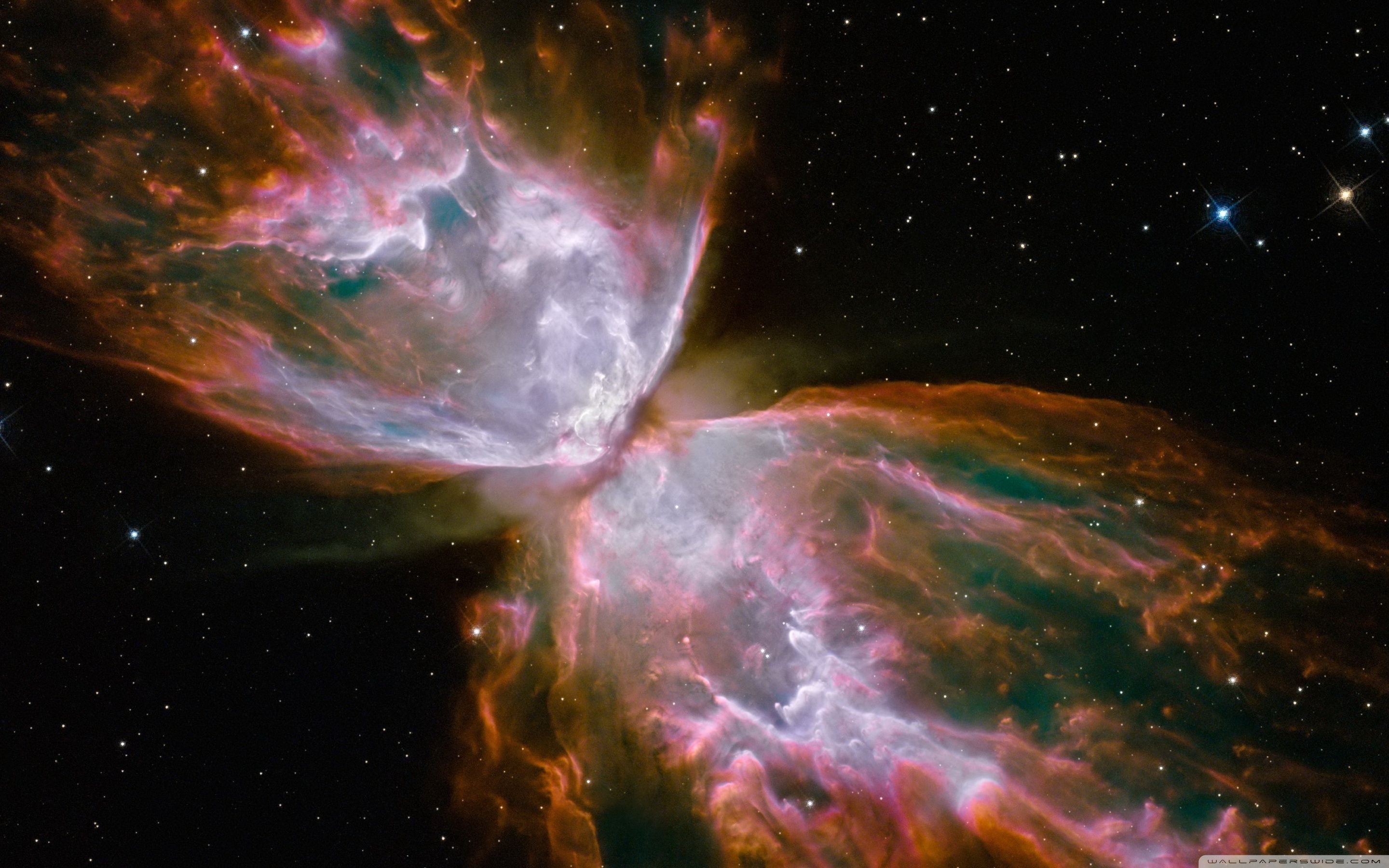 wallpapers 1080P Butterfly Nebula
