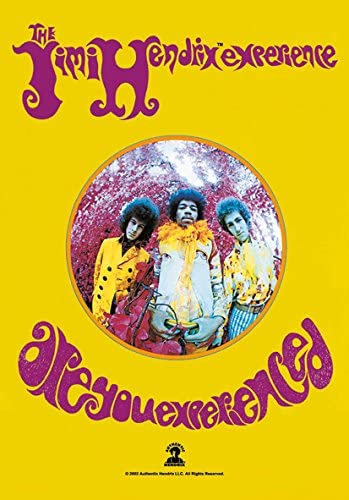 picture Art Jimi Hendrix Are You Experienced