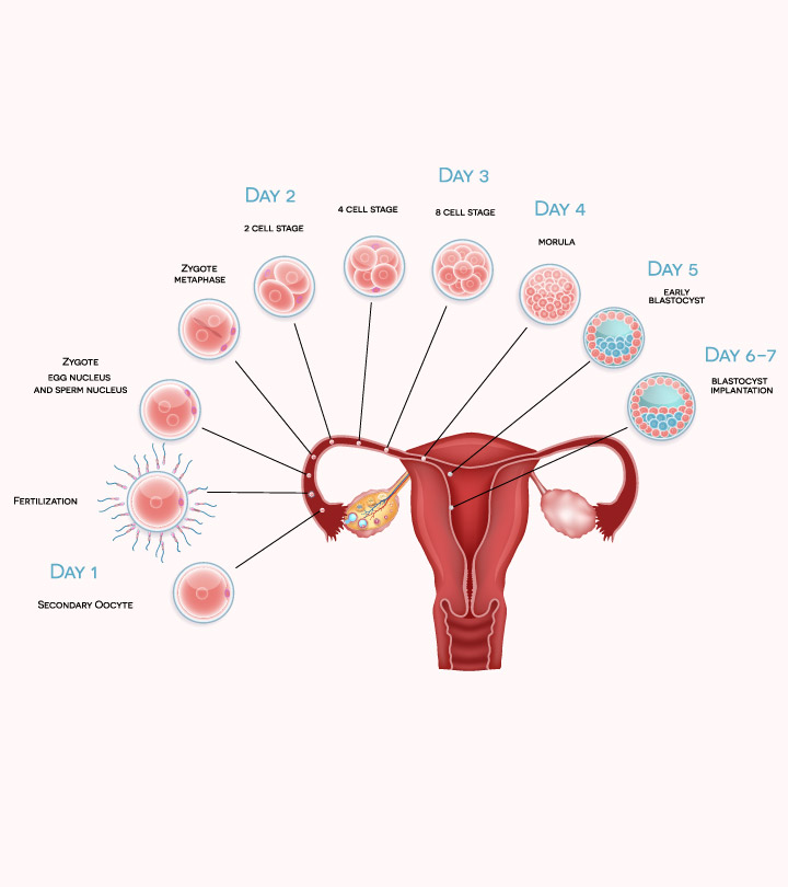 Average Day Of Implantation Bleeding images Average Day Of Implantation Bleeding
