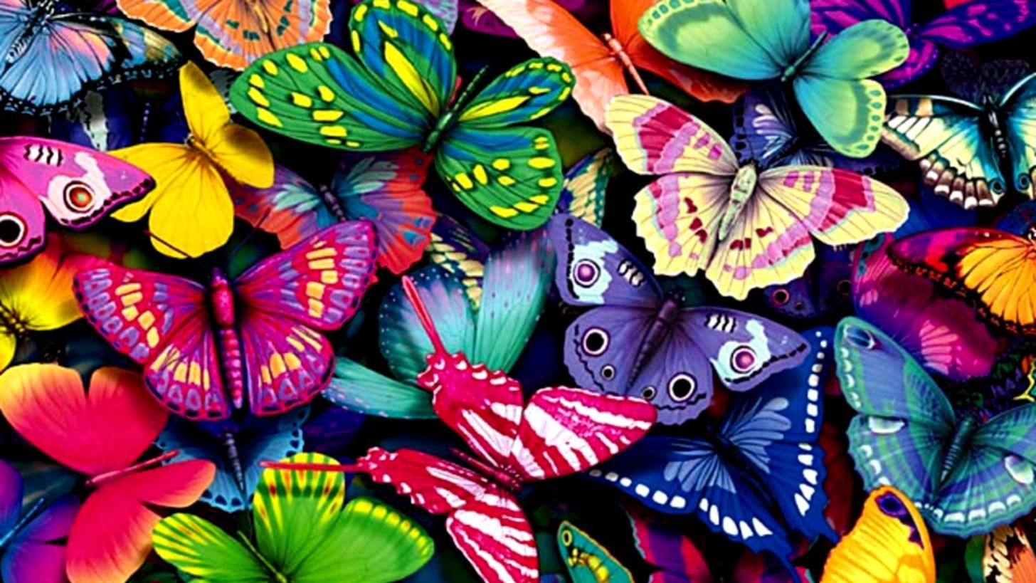 Featured image of post Butterfly Desktop Wallpaper 1080P