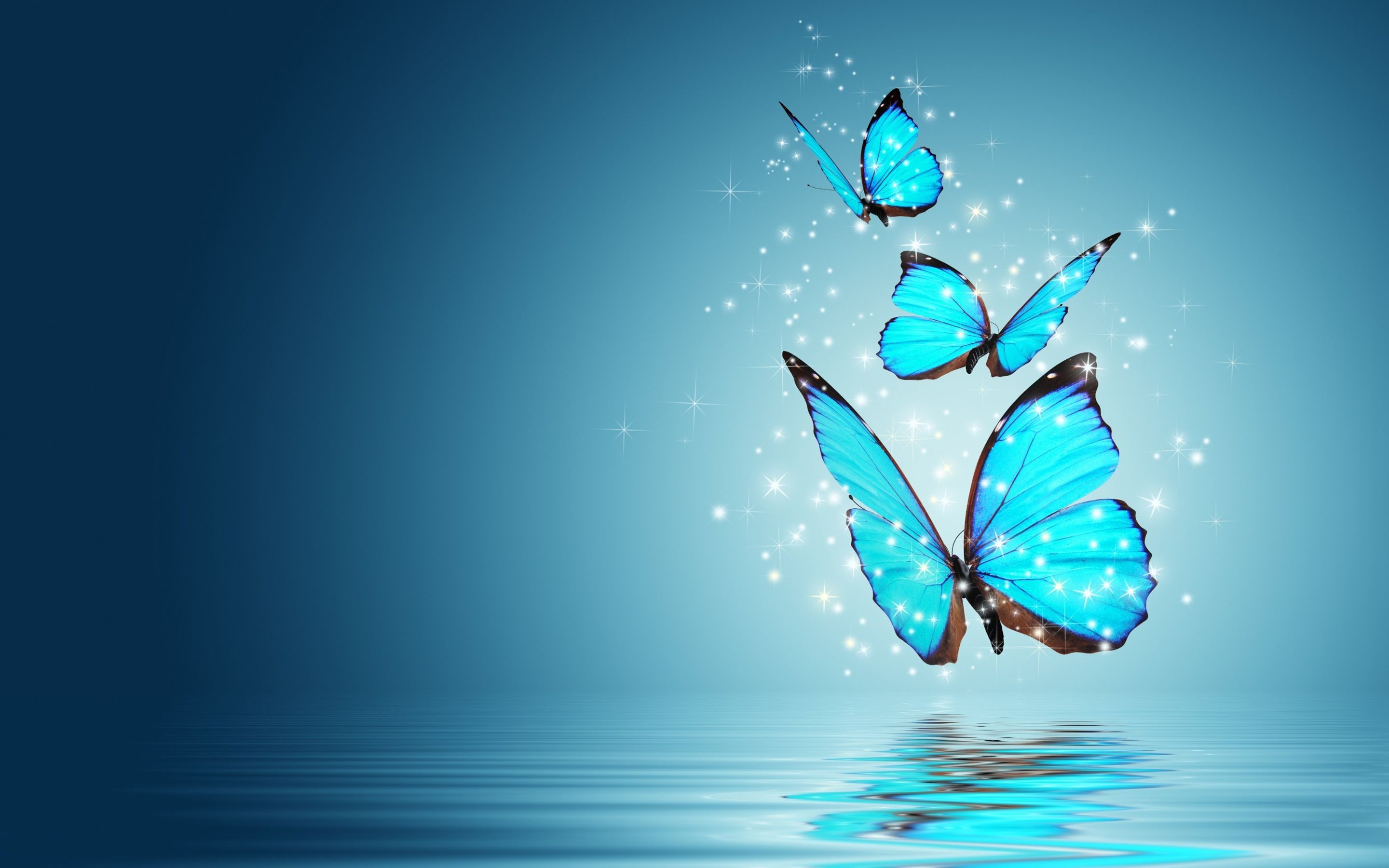 pix Butterfly Desktop Wallpaper 1080P