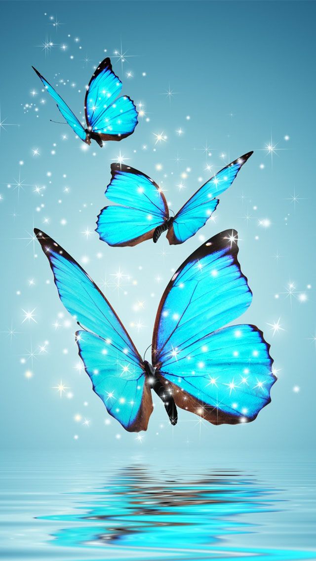 pics Butterfly Hd Wallpapers 1080P Download