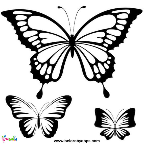 pics Butterfly Template To Print