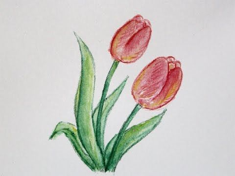 images Color Pencil Drawing Flowers Easy