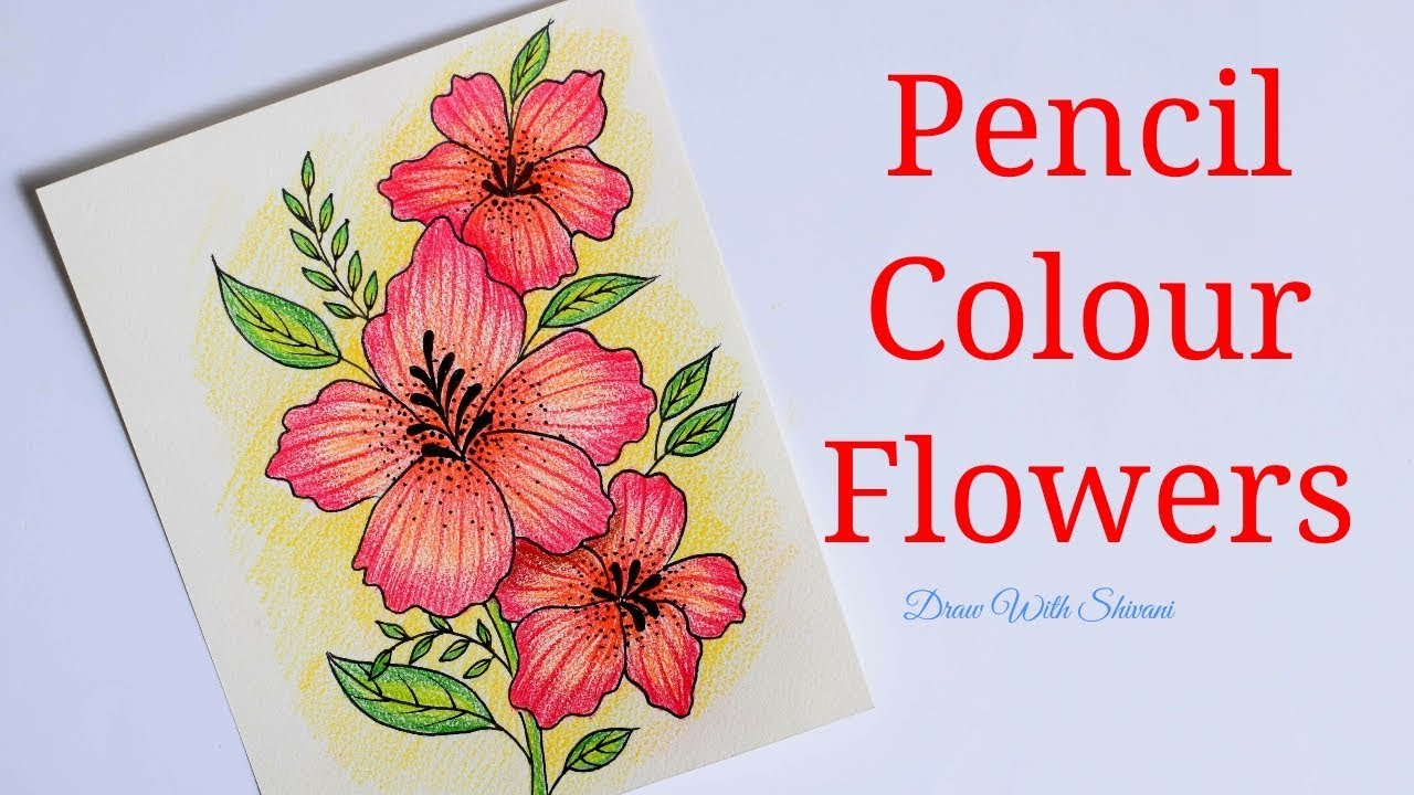 photo Color Pencil Drawing Flowers Easy
