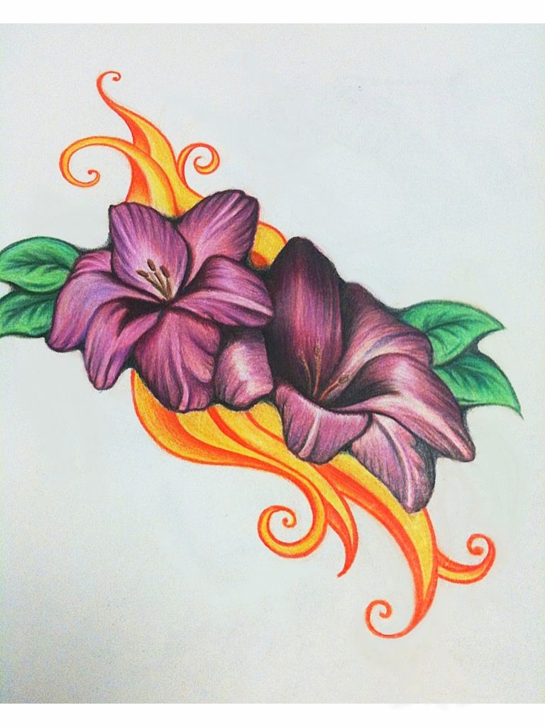 images Color Pencil Drawing Flowers Easy