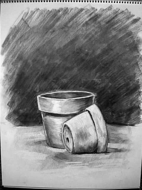 pix Easy Charcoal Pencil Drawing Flowers