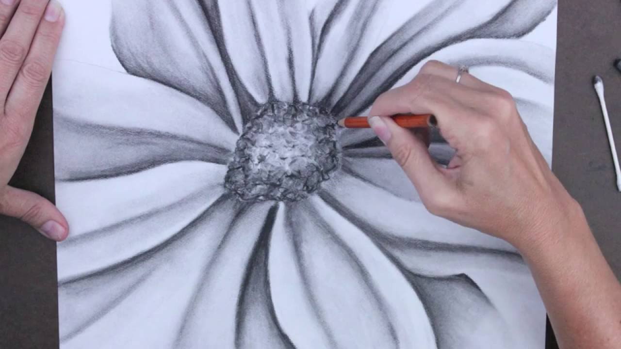 pic Easy Charcoal Pencil Drawing Flowers