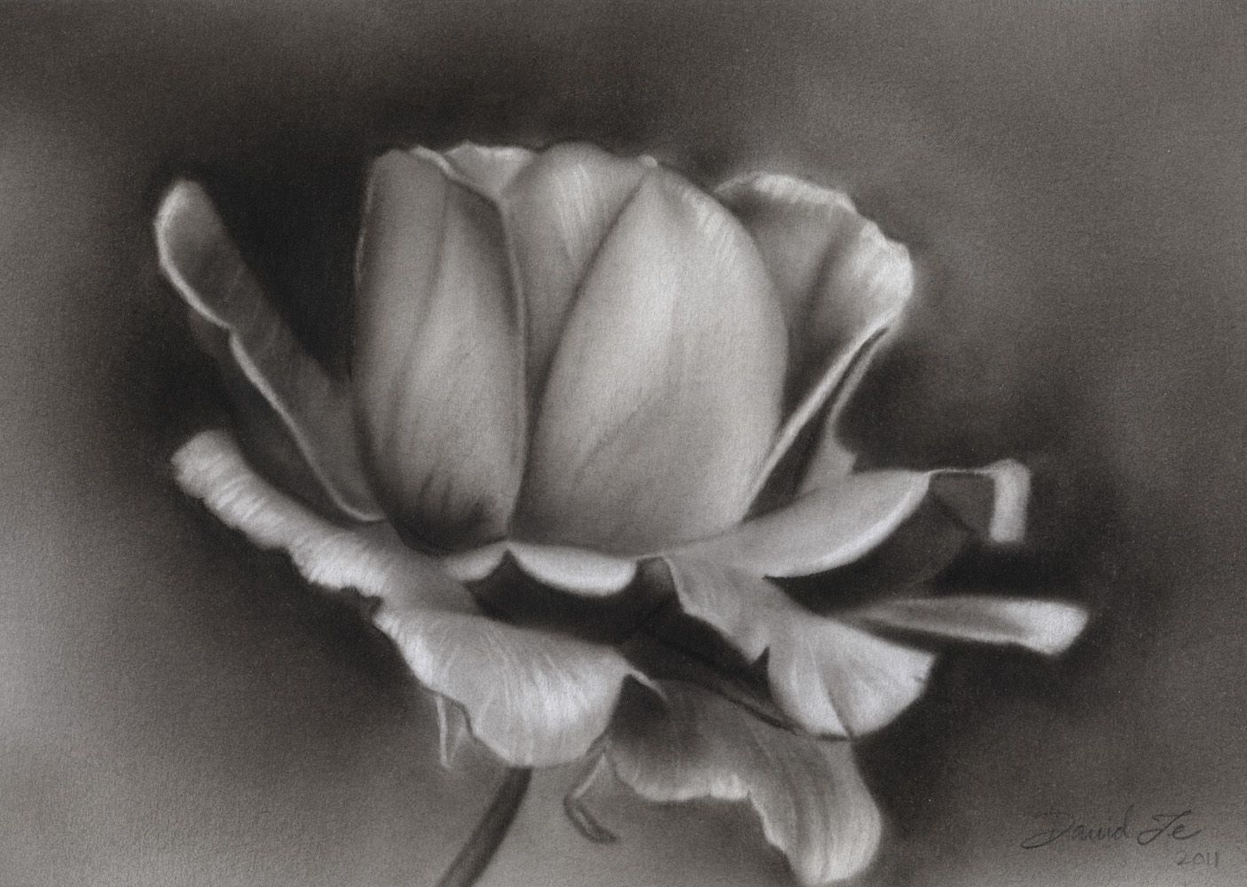pics Easy Charcoal Pencil Drawing Flowers