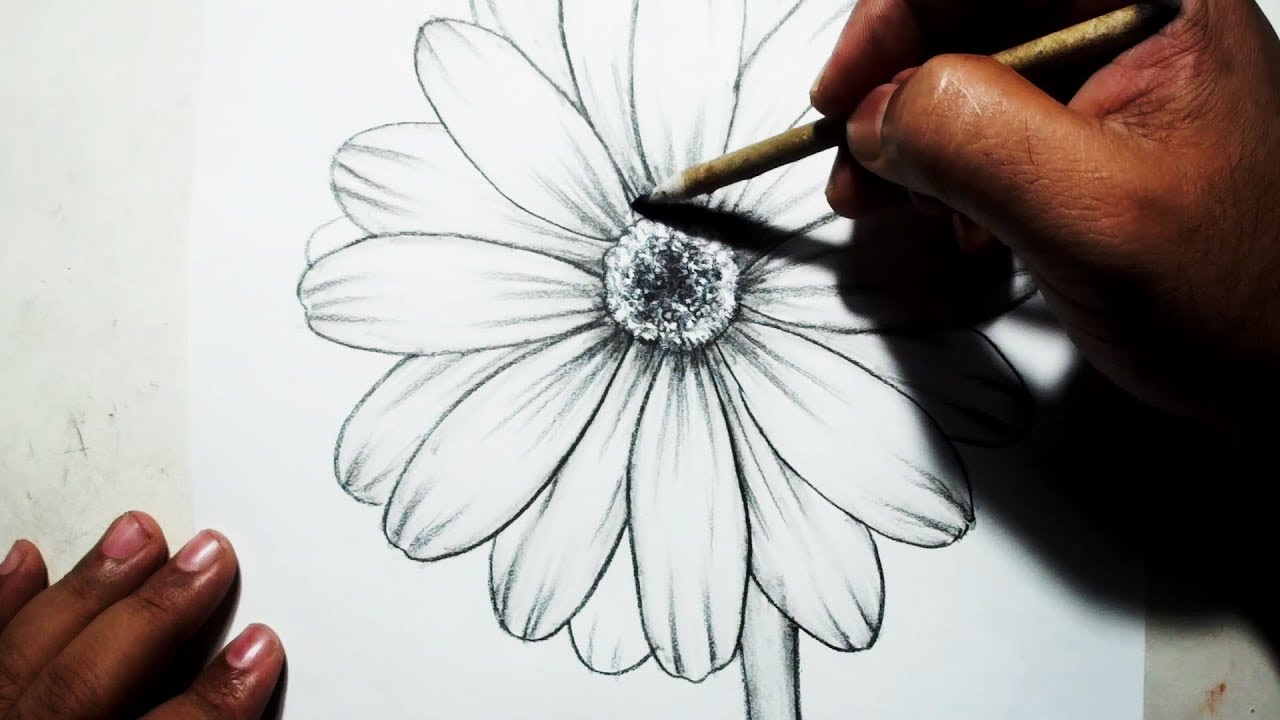 Flowers Drawing Pictures Pencil Easy picture Flowers Drawing Pictures Pencil Easy