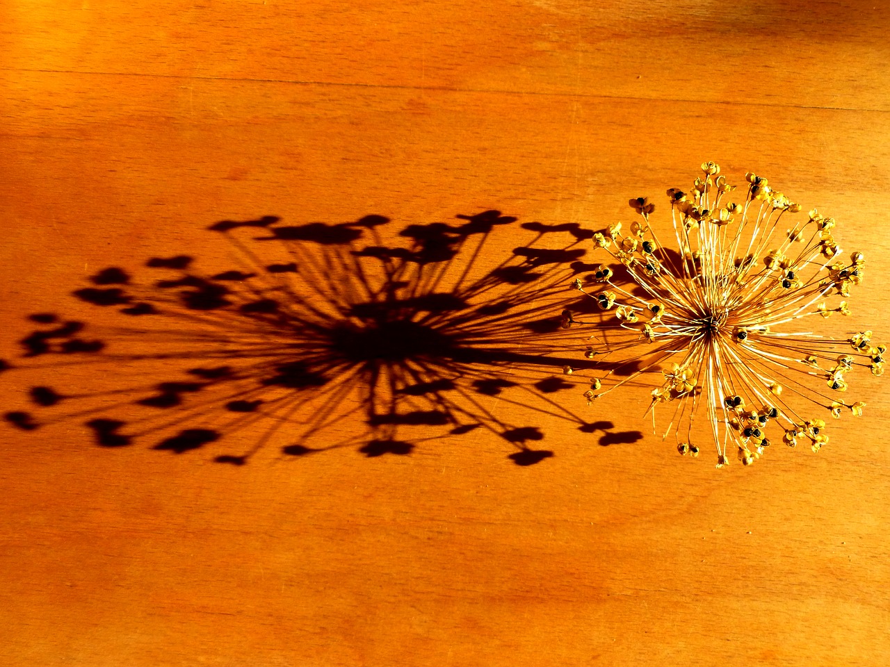 Featured image of post Golden Hour Lighting Online