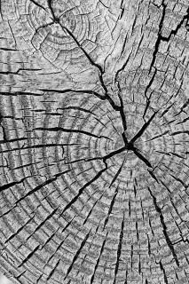 wallpapers Gritty Texture Examples