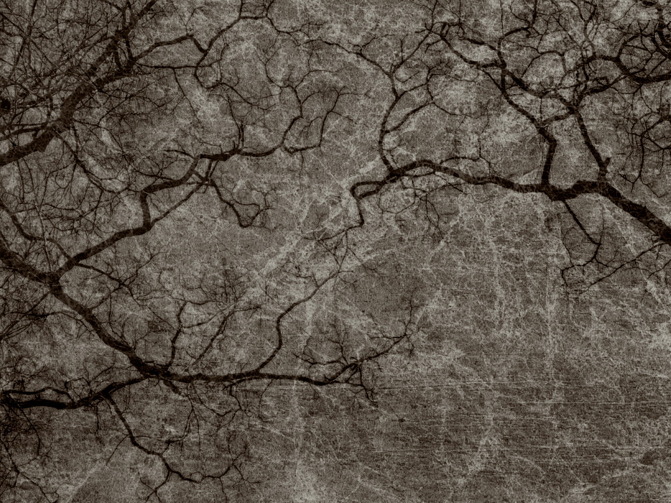 Gritty Texture Meaning pics Gritty Texture Meaning