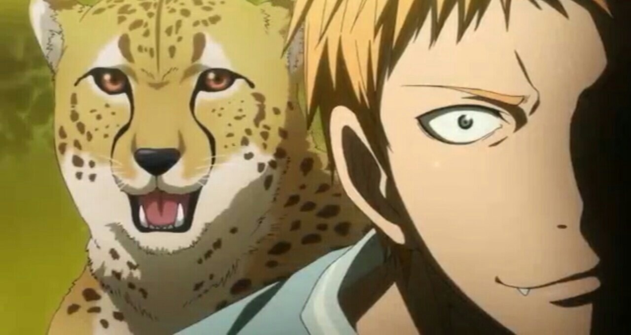 images Hayama Kotaro Kuroko No Basket