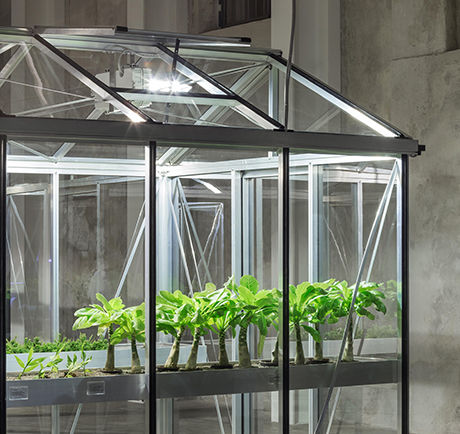 pics Michael Wang Artist