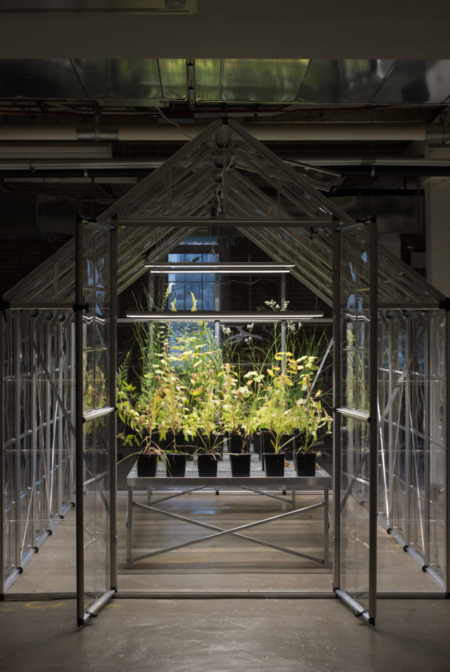 wallpapers Michael Wang Artist