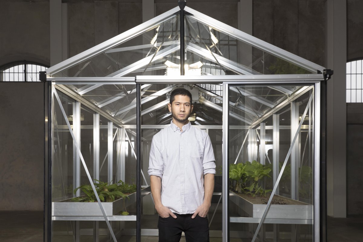 pics Michael Wang Artist