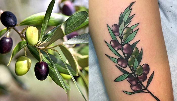images Olive Blossom Tattoo