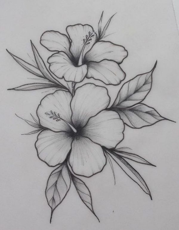 images Pencil Drawing Easy And Simple Flowers