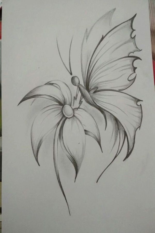 pix Pencil Drawing Easy And Simple Flowers
