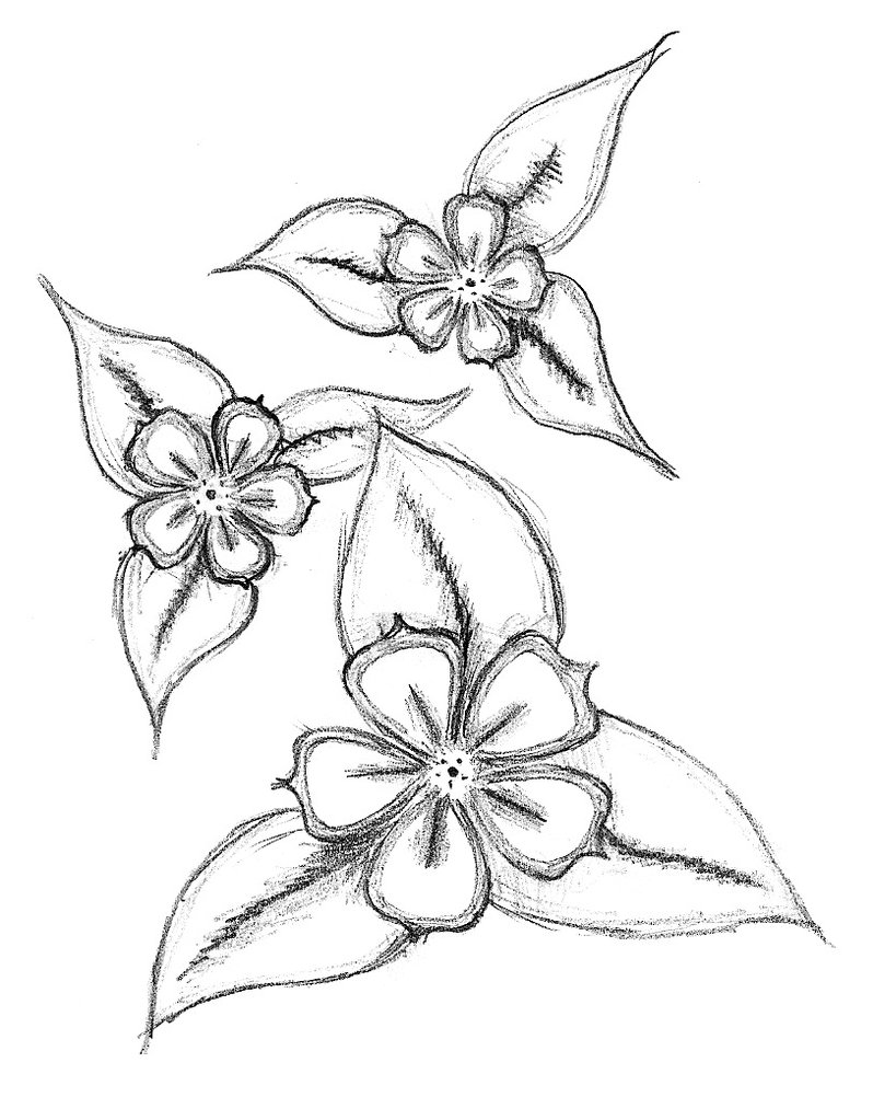 pic Pencil Easy Drawing Ideas Flowers