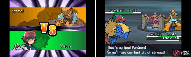 picture Pokemon White Elite Four Walkthrough