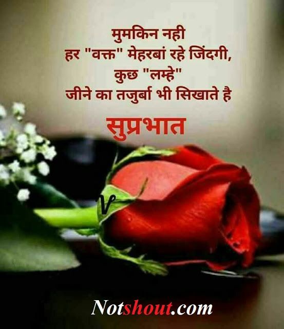 Sad Good Morning Ka Status pic Sad Good Morning Ka Status