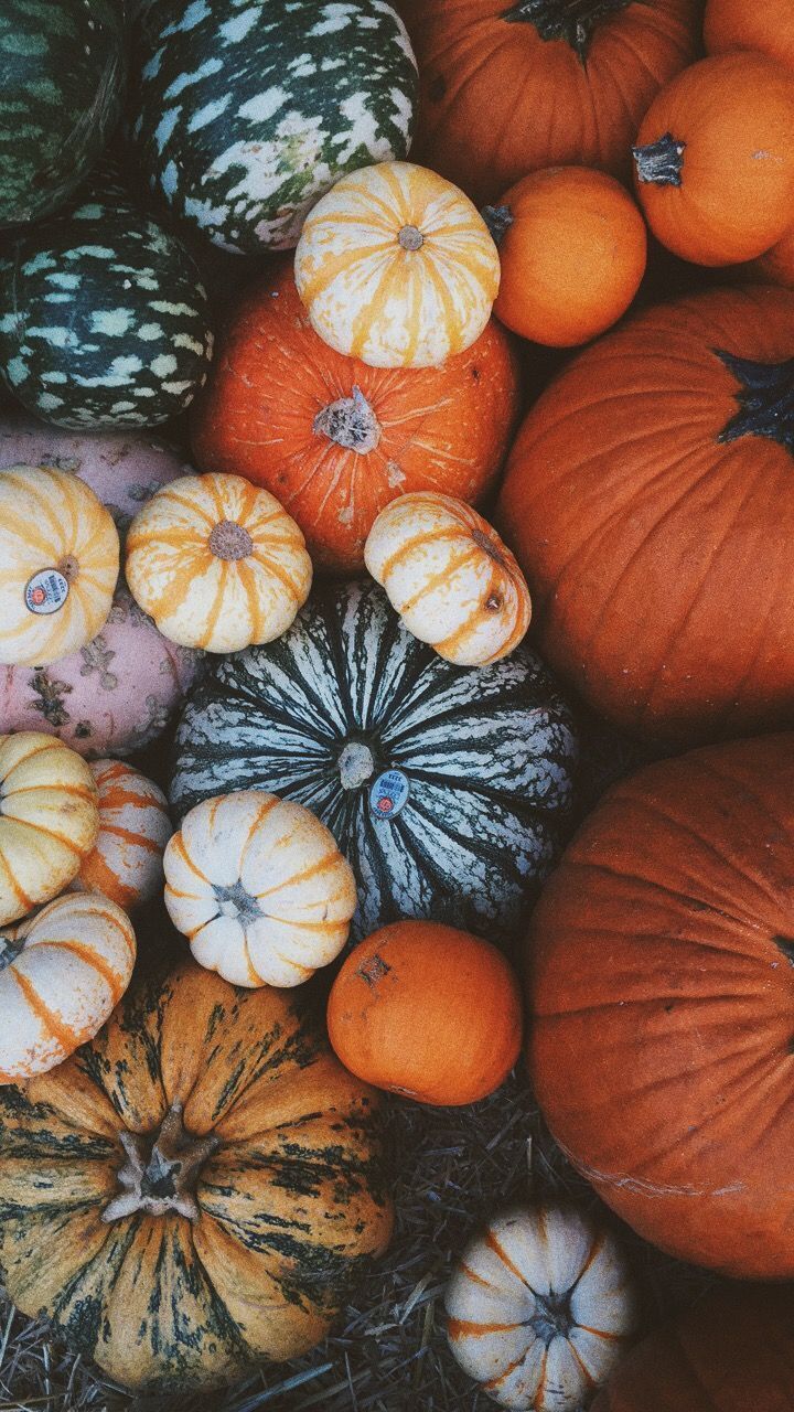 pic Vsco Wallpapers Fall