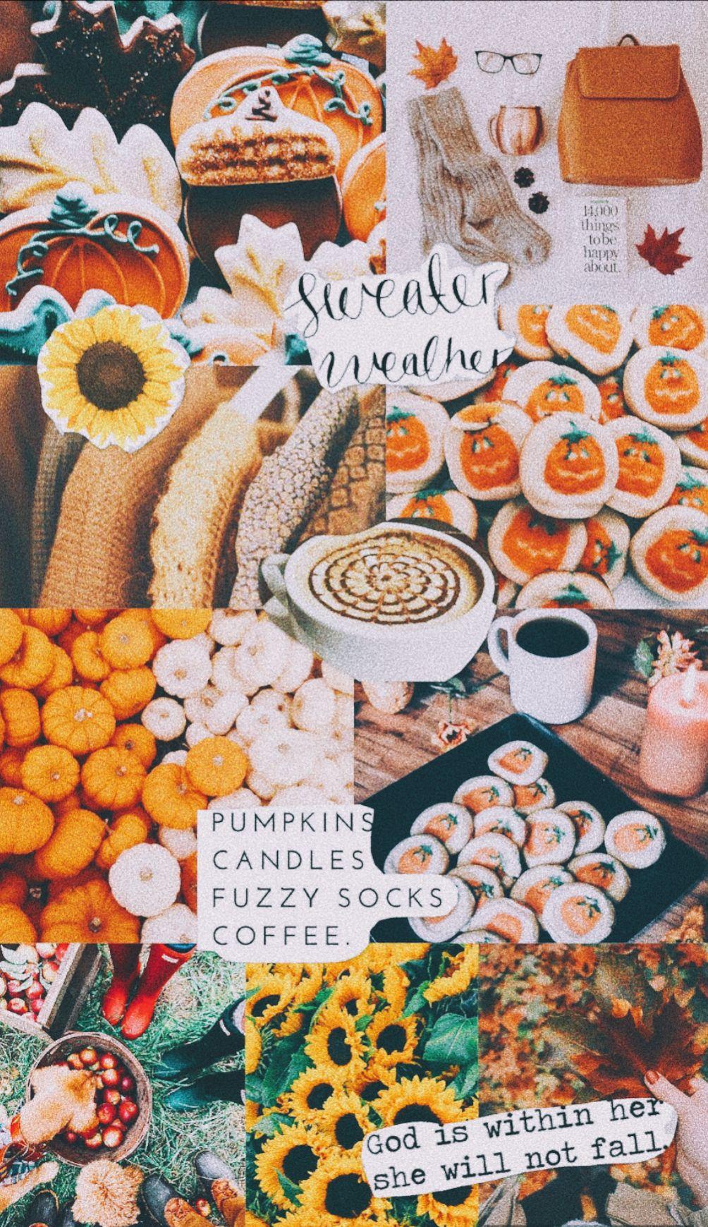pix Vsco Wallpapers Fall