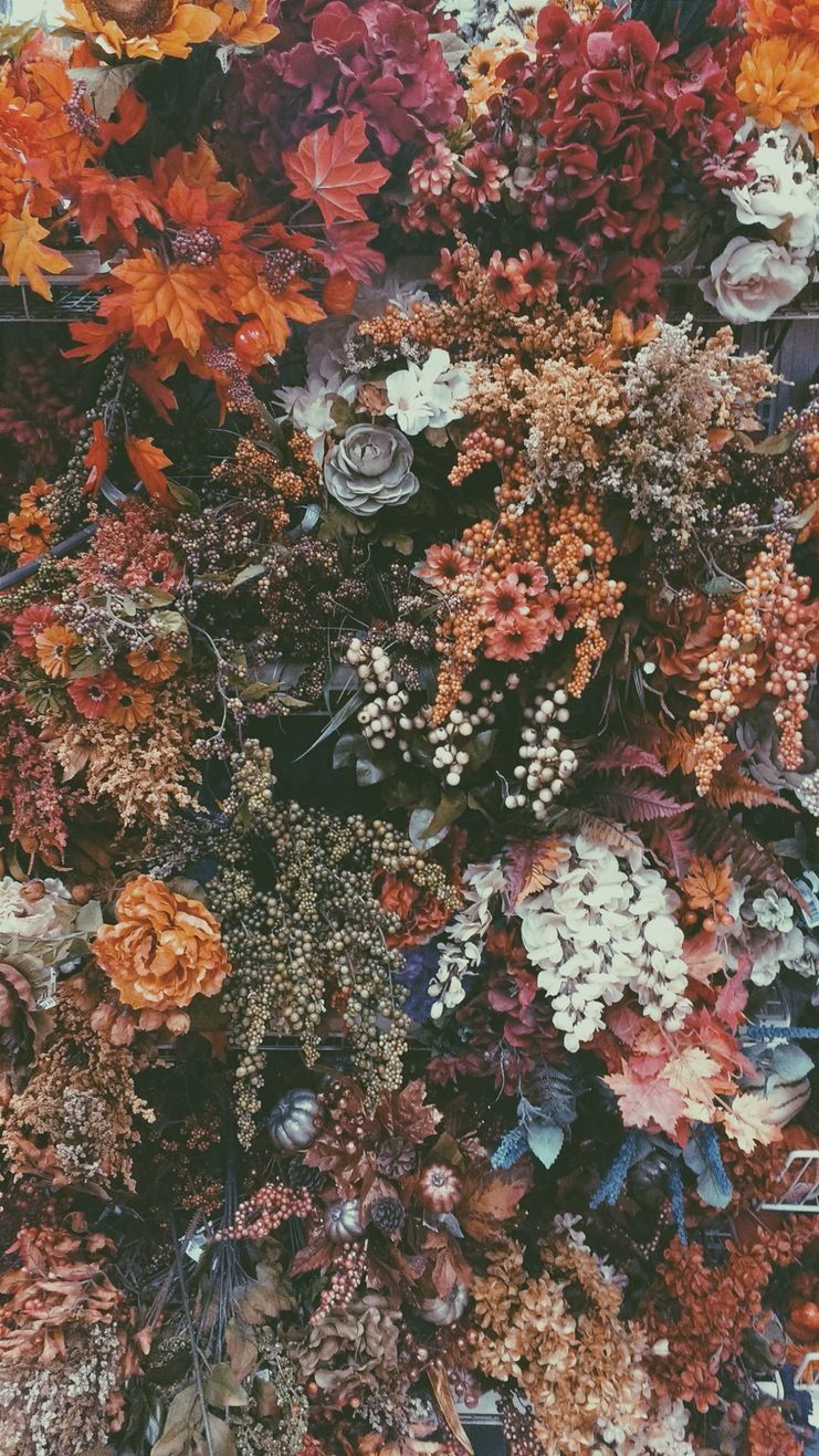 pic Vsco Wallpapers Fall