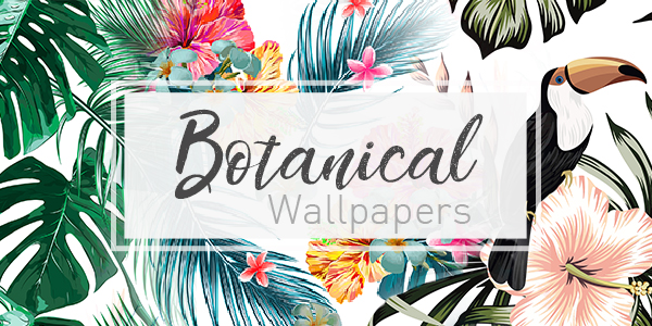 wallpapers Wallpaper Stockists Near Me