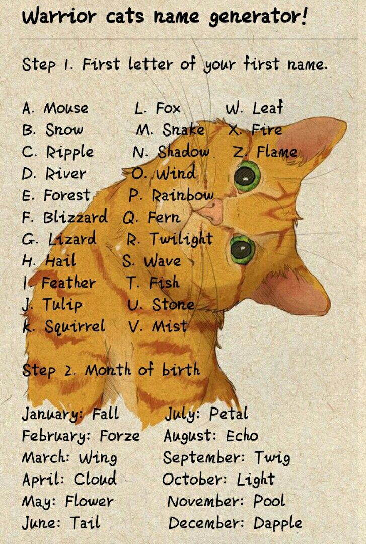 images Warrior Princess Names For Cats
